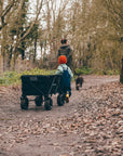 S+S Roamer trolley