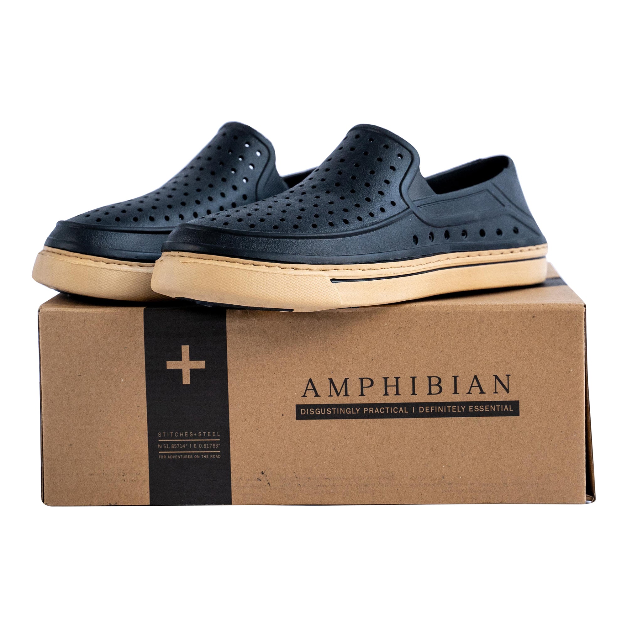 The Amphibian