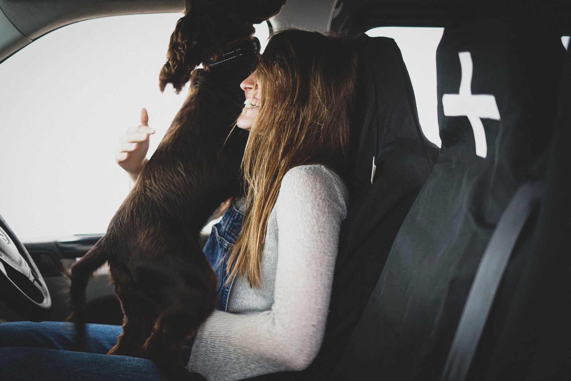 Universal Seat Cover